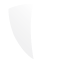 Securteam Icon