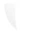 Securteam Logo Icon